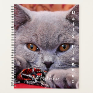 Chat Gris - Planificateur quotidien- HAMbWG