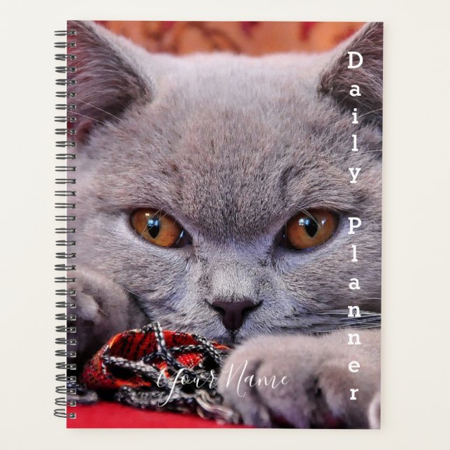 Chat Gris - Planificateur quotidien- HAMbWG (Devant)