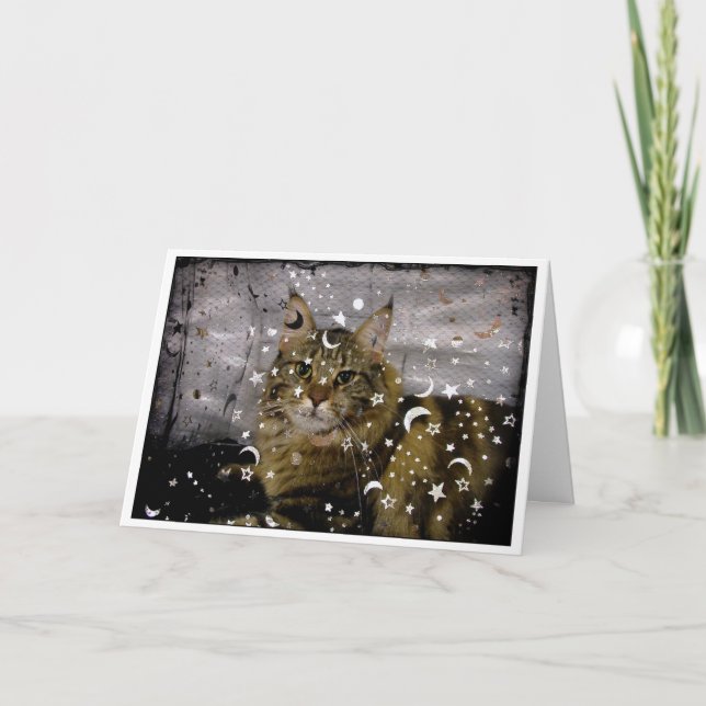 Chat Halloween ou toute autre occasion carte de vo (Devant)