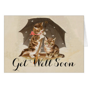 Chat Kitten chaton antique vintage jolie mignonne