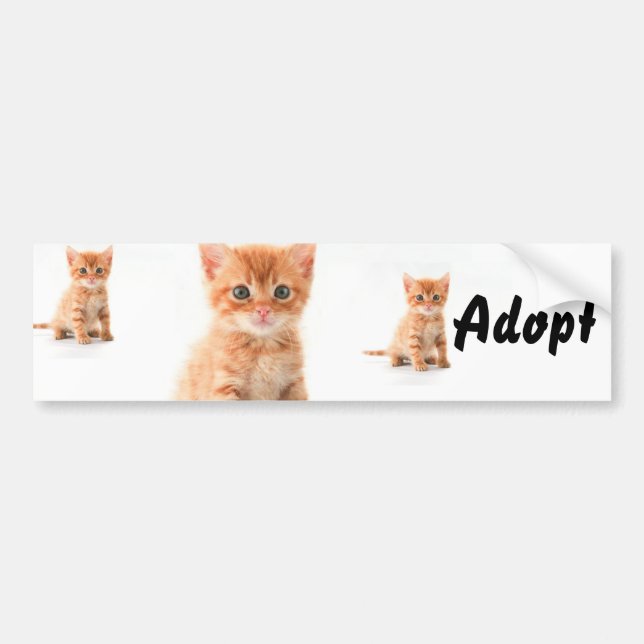 Chat Kitten Chien Adopter le pare-chocs Sticker (Devant)