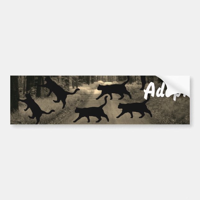 Chat Kitten Chien Adopter le pare-chocs Sticker (Devant)
