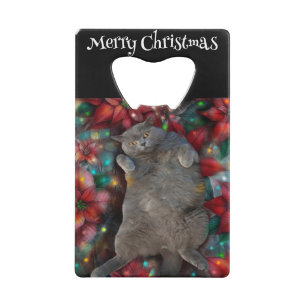 Chat Kitty britannique Shorthair à Poinsettias