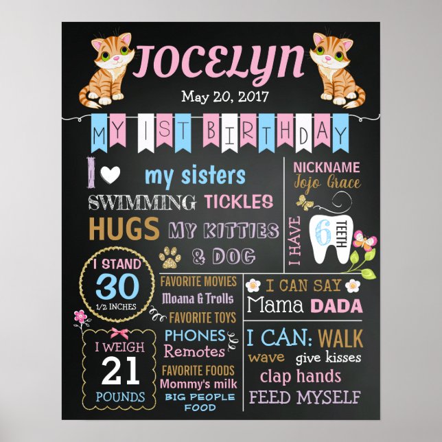 Chat Kitty Premier 1er panneau de tableau de bord  (Devant)