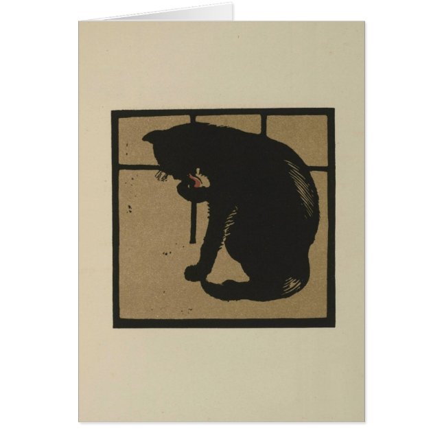 Chat lèche ses pattes (Devant)