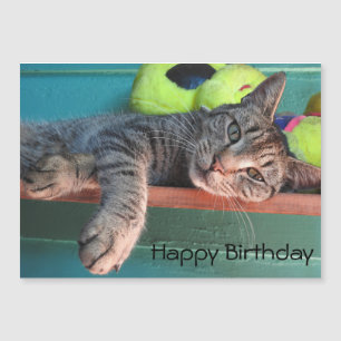 Chat Love Joyeux anniversaire