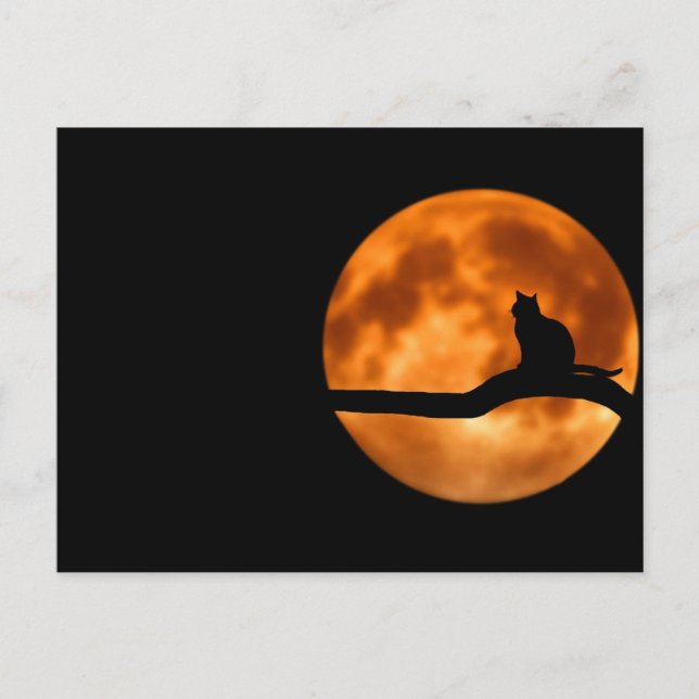 Chat lunaire - Carte postale (Devant)