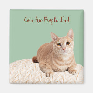 Chat Magnet Les Chats Sont Aussi Des Gens