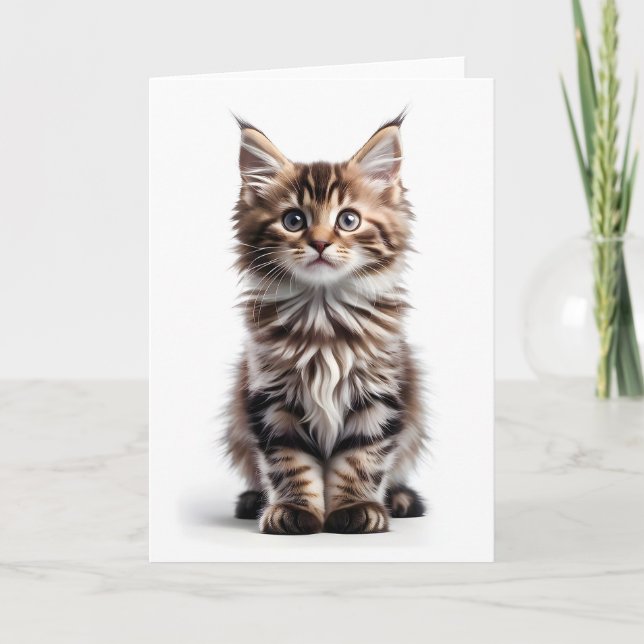 Chat Maine Coon à poil long et moelleux Carte de v (Devant)