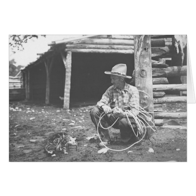 Chat mangeant hors d'une boîte de café avec une (Devant horizontal)