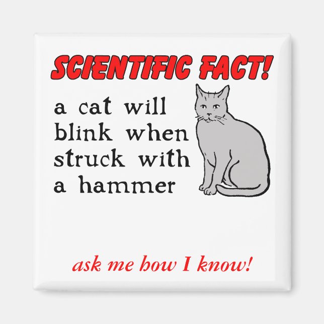 Chat Marteau Aimant Drôle Humour (Devant)