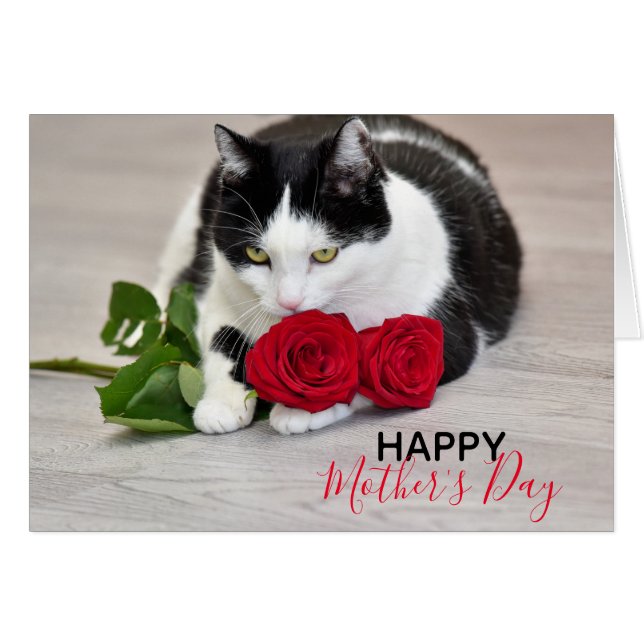 Chat mignon avec le rose rouge (Devant horizontal)