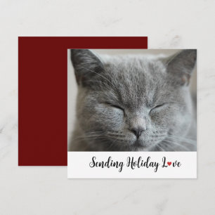 Chat mignon Envoi de vacances Amour