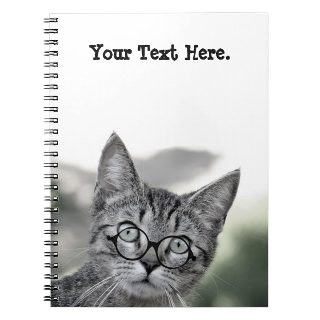 Chat mignon et surpris avec Carnet de lunettes (Devant)
