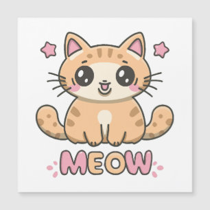 chat mignon miaou