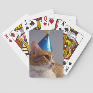 Chat mignon portant les cartes de jeu bleues de