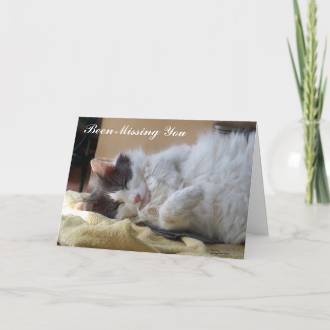 Chat Mignonne Vous A Manqué Carte De Voeux (Devant)