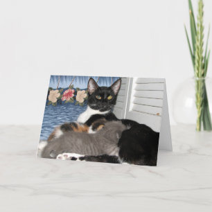 Chat Momma's Love Carte de remerciements