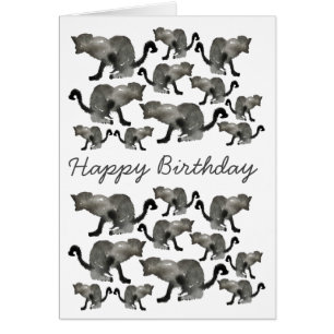 Chat monochrome couleur noir