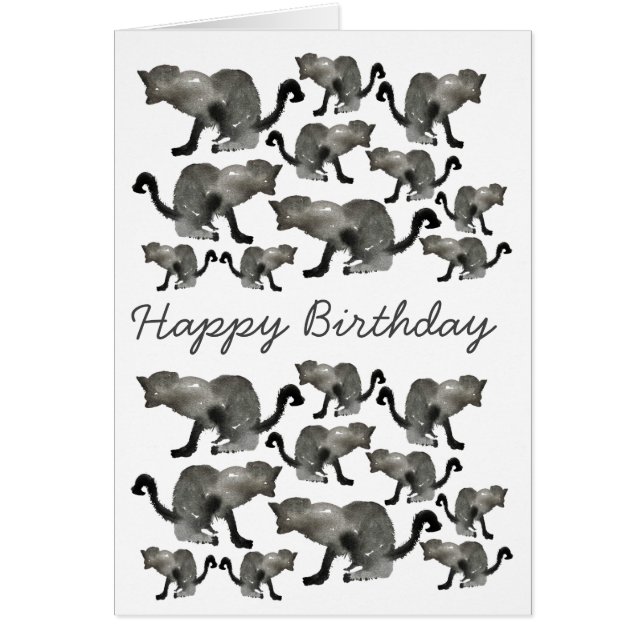 Chat monochrome couleur noir (Devant)