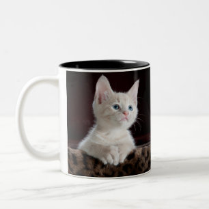 chat mug double