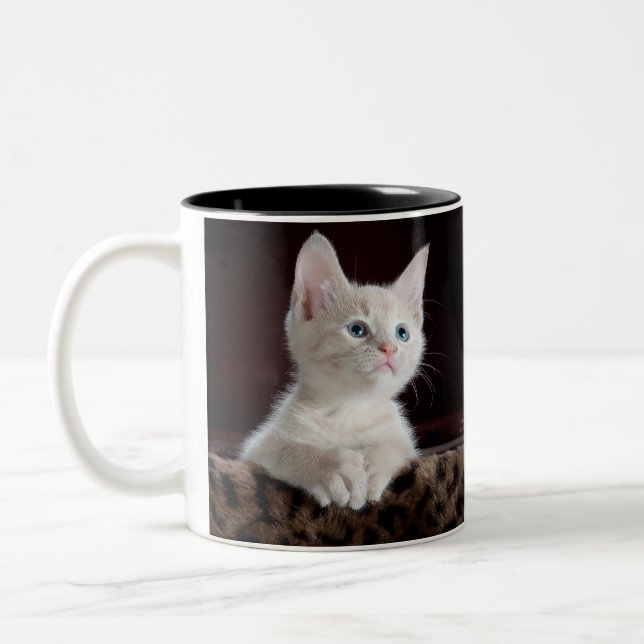 chat mug double (Gauche)