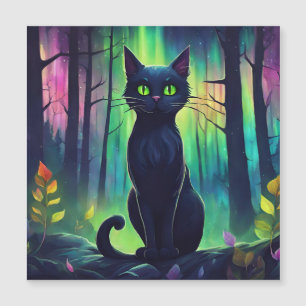 Chat mystique des aurores boréales