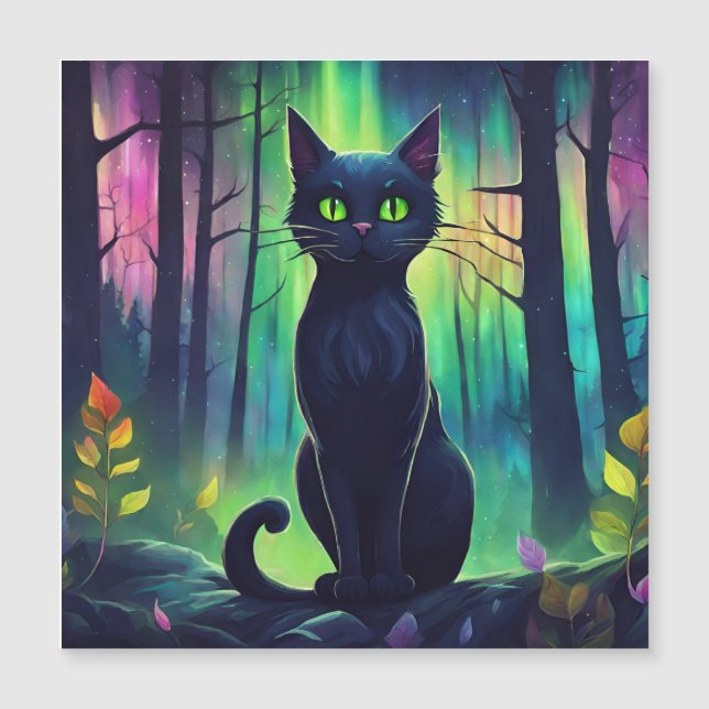 Chat mystique des aurores boréales (Devant)