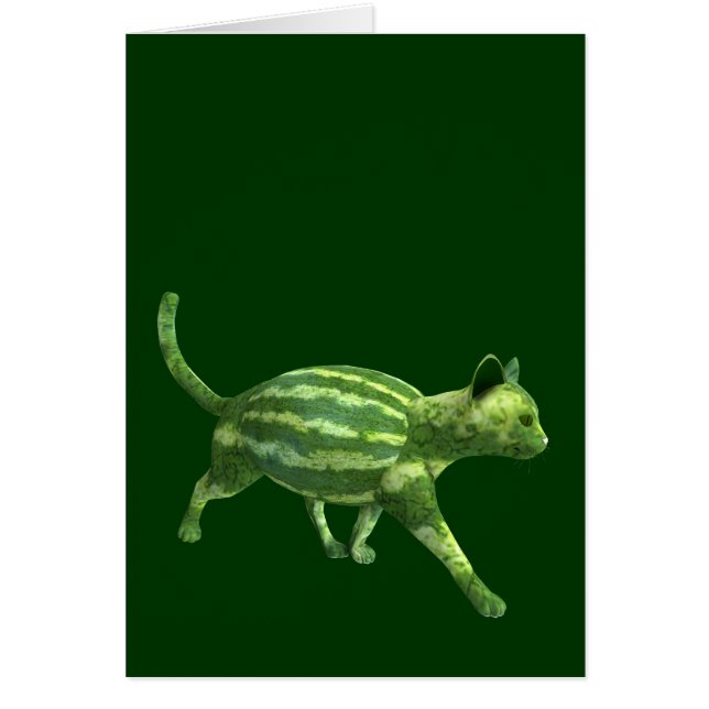 Chat national de la journée de la pastèque (Devant)