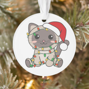 Chat Noël Animaux d'hiver Chats