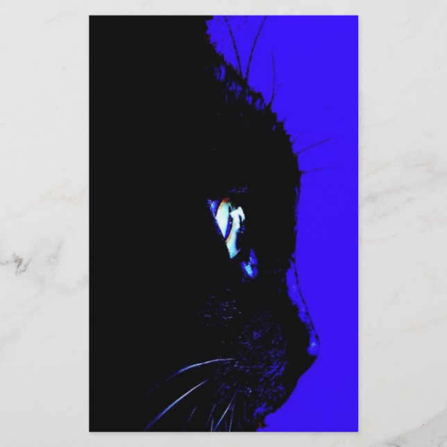 Chat noir (Devant)