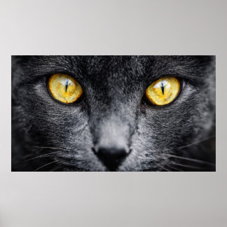 Chat noir aux yeux dorés - Art mural - Ani mystiqu