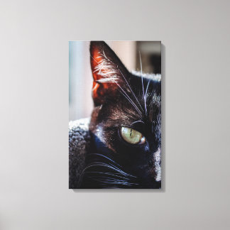 Chat Noir avec des Yeux Verts Toile Emballée