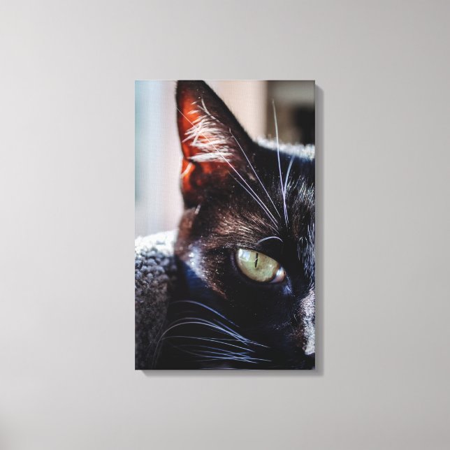Chat Noir avec des Yeux Verts Toile Emballée (Recto)