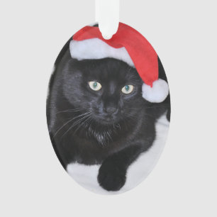 Chat noir avec le casquette rouge de Père Noël