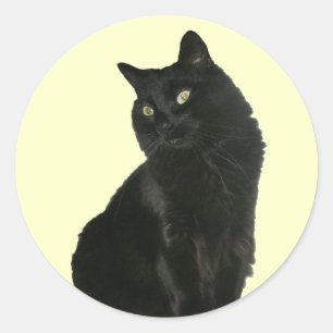 Chat noir avec Sticker pour yeux dorés