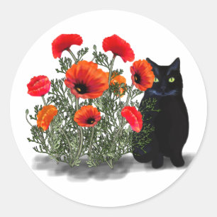 Chat noir avec Stickers Poppies