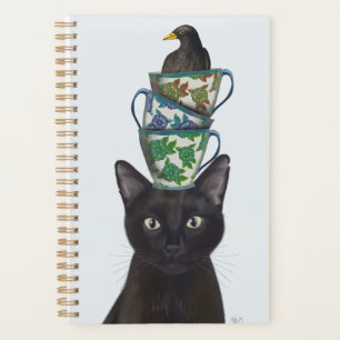 Chat noir avec Teups et Blackbird