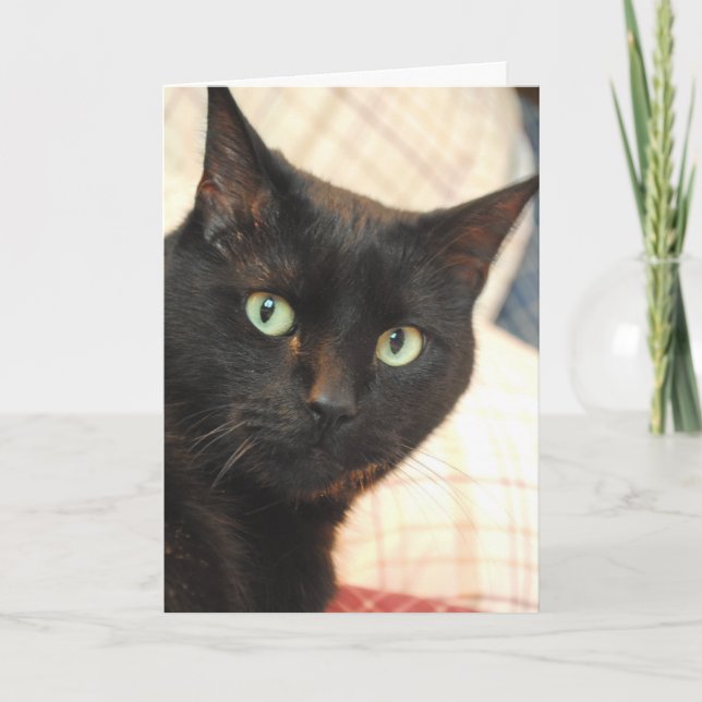 Chat noir Bonne carte d'anniversaire (Devant)