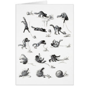 Chat noir & Boule en laine, Alexandre Steinlen