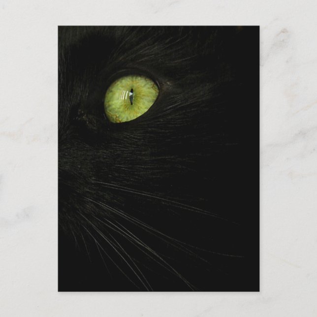 Chat noir, carte postale de l'oeil vert (Devant)
