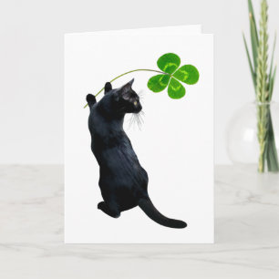 Chat noir chanceux avec carte de trèfle à quatre f