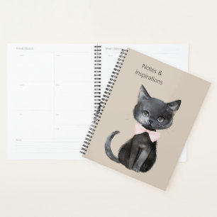 Chat noir crème noeud rose