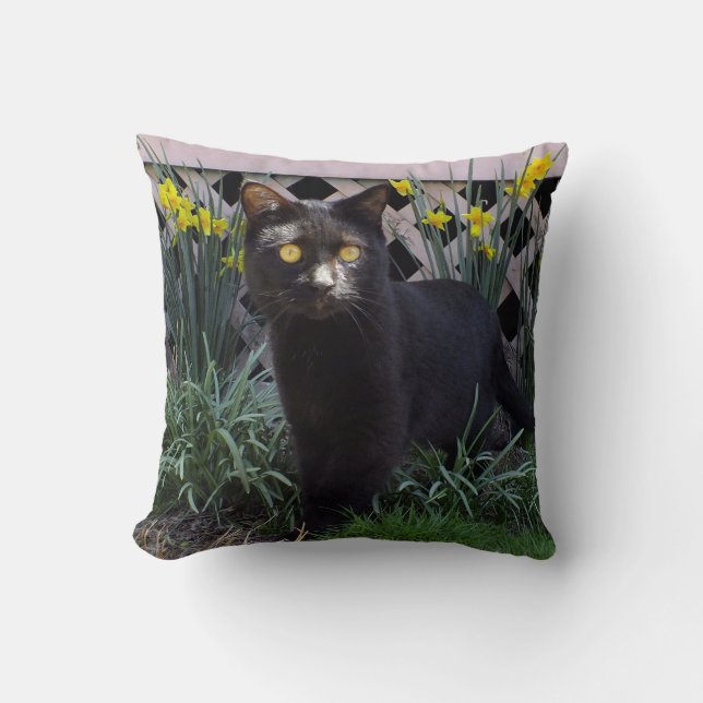 Chat Noir Dans Les Daffodiles Jeter Oreiller (Recto)