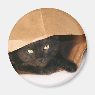 Chat noir dans un aimant de sac