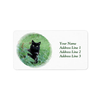 Chat noir d'Halloween en Étiquette de adresse d'he