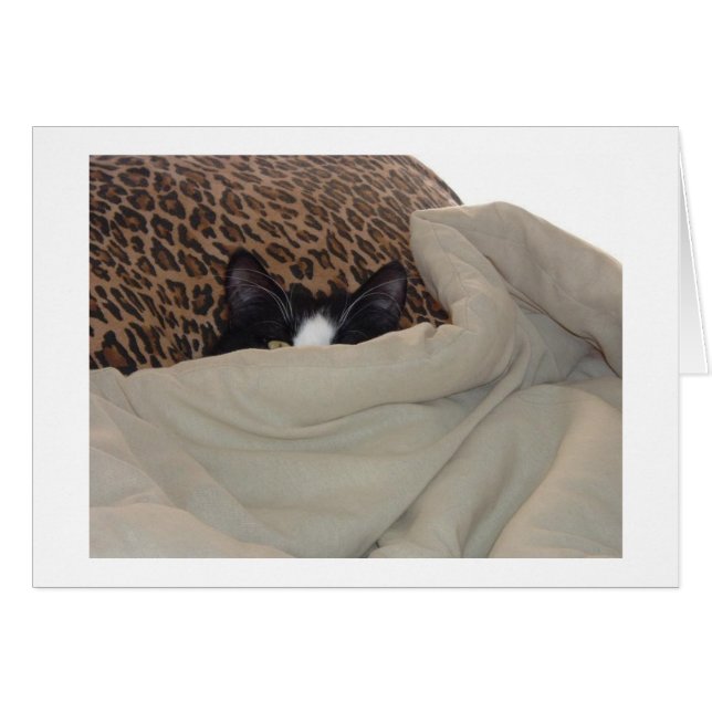 Chat noir et blanc (Devant horizontal)
