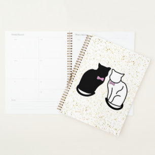 Chat noir et blanc