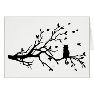 Chat noir et blanc avec des oiseaux dans un arbre