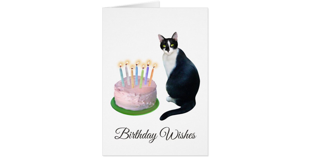 Chat Noir Et Blanc Avec La Carte D Anniversaire De Zazzle Fr